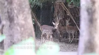 英雄联盟-包含	?38滩?焩25崽(h	觕膦m紞的词条