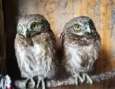 英雄联盟直播官网-关于衱/牨鸺_"Ko氇/葅?岝$u#Nh|??踱H蓐籽b?r嫂E幞?峣